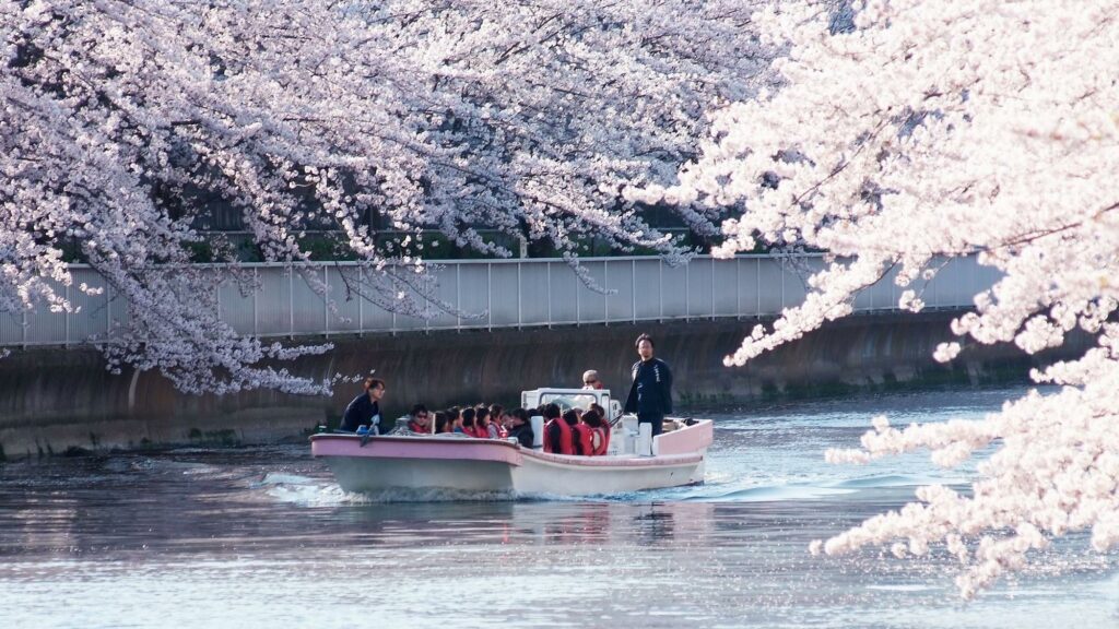 lp_2025sakura_02_1260_709-1-1024x576